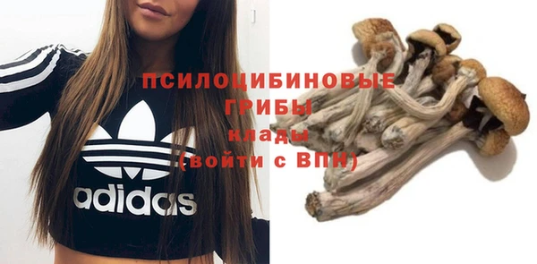 MESCALINE Карталы