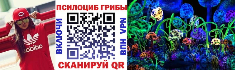 Галлюциногенные грибы Cubensis Усть-Катав